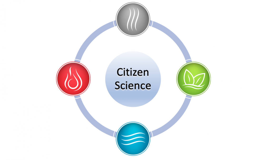 Citizen Science – lasst uns Wissenschaft machen